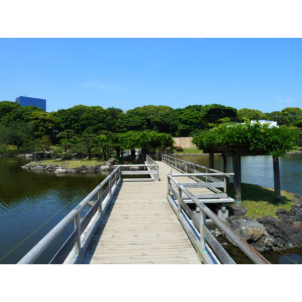 รูปถ่าย ญี่ปุ่น(Japan) โตเกียว(Tokyo) สวนฮามะริคิว(Hama rikyu Gardens) 2010-06 69