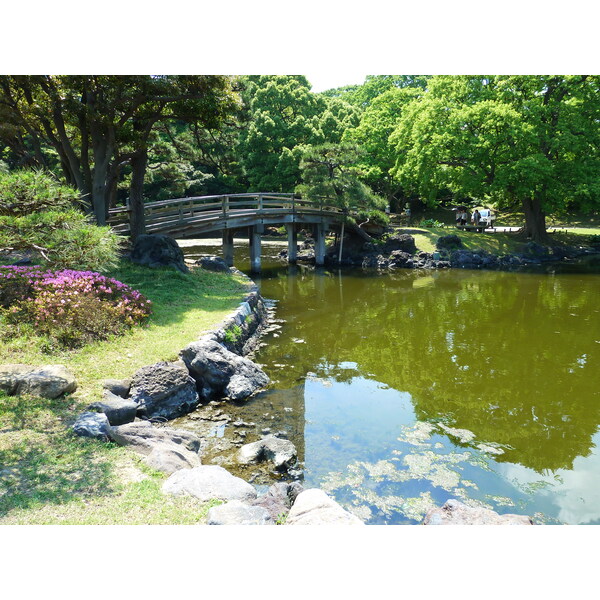 รูปถ่าย ญี่ปุ่น(Japan) โตเกียว(Tokyo) สวนฮามะริคิว(Hama rikyu Gardens) 2010-06 68
