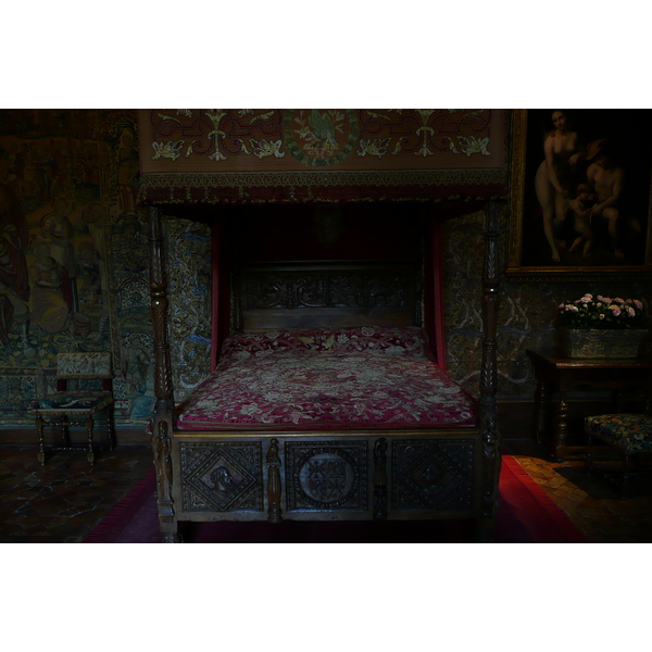 รูปถ่าย ฝรั่งเศส(France) ปราสาทเชอนงโซ(Chenonceau Castle) 2008-04 86