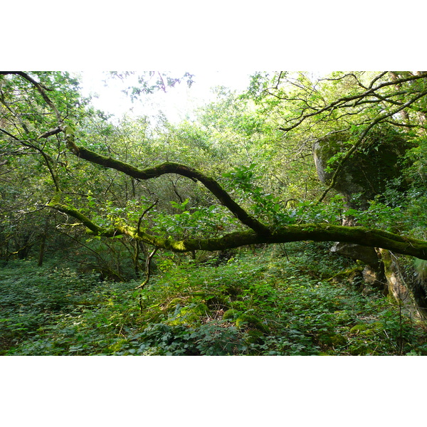 รูปถ่าย ฝรั่งเศส(France) อูแอลโกแอท(Huelgoat) 2007-08 26