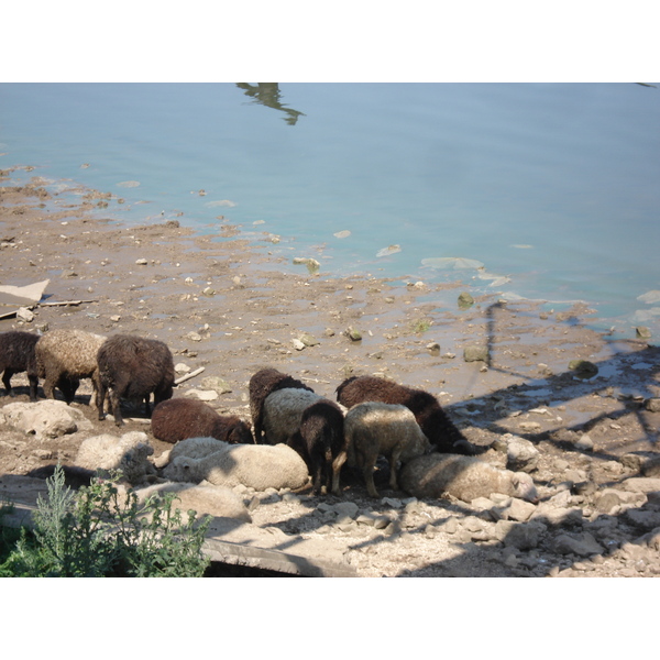 รูปถ่าย รัสเซีย(Russia) จากคาซานไปนิจนีนอฟโกรอด(From Kazan to Nizhniy Novgorod) 2006-07 27