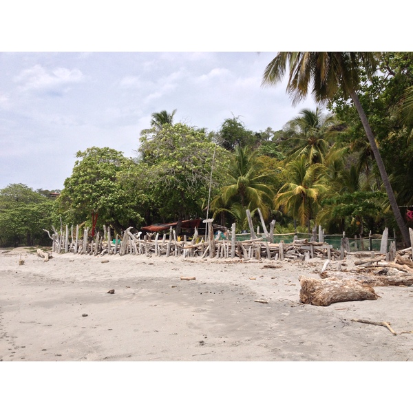รูปถ่าย คอสตาริกา(Costa Rica) มอนเตซูมา(Montezuma) 2015-03 531