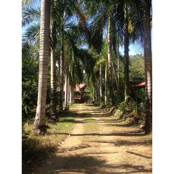 รูปถ่าย คอสตาริกา(Costa Rica) อูบีตา(Uvita) 2015-03 36