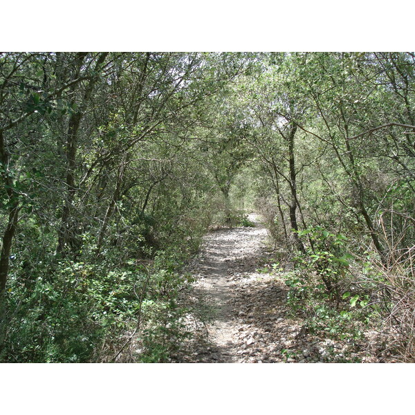 รูปถ่าย ฝรั่งเศส(France) โซเมียร์(Sommieres) 2006-06 123