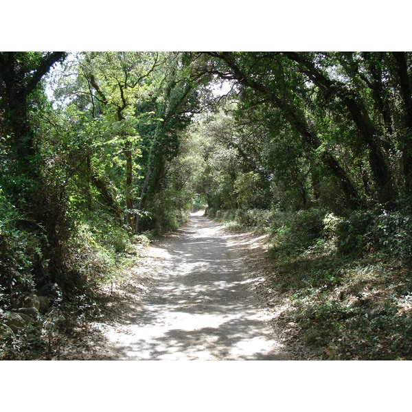 รูปถ่าย ฝรั่งเศส(France) โซเมียร์(Sommieres) 2006-06 109