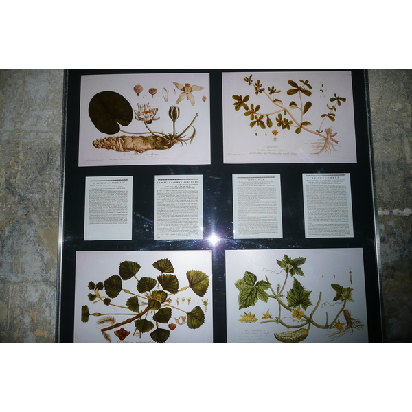 รูปถ่าย ฝรั่งเศส(France) ตาราสกง(Tarascon) ปราสาทตาราสกง(Tarascon Castle) 2008-04 0