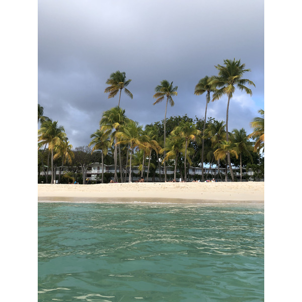รูปถ่าย กวาเดอลูป(Guadeloupe) หาดลาการาแวล(La Caravelle Beach) 2021-02 56
