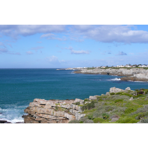 รูปถ่าย แอฟริกาใต้(South Africa) เฮอร์มานัส(Harmanus) 2008-09 219