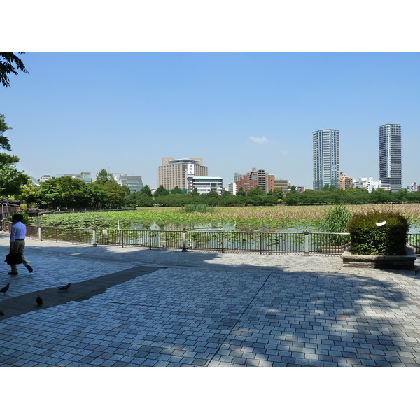 รูปถ่าย ญี่ปุ่น(Japan) โตเกียว(Tokyo) อุเอโนะ(Ueno) 2010-06 50
