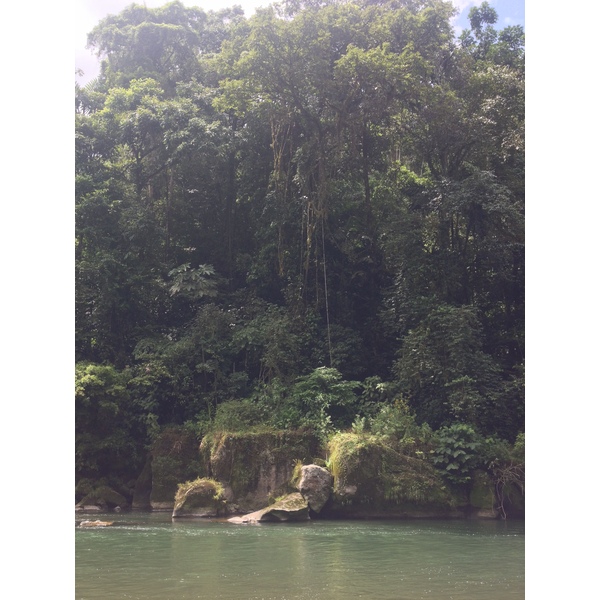 รูปถ่าย คอสตาริกา(Costa Rica) แม่น้ำปากัวเร(Pacuare River) 2015-03 123