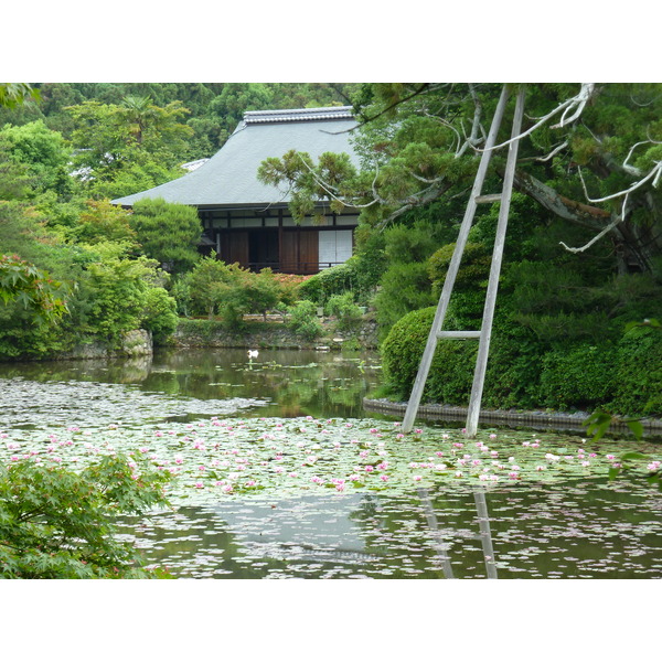 รูปถ่าย ญี่ปุ่น(Japan) 2010-06 62