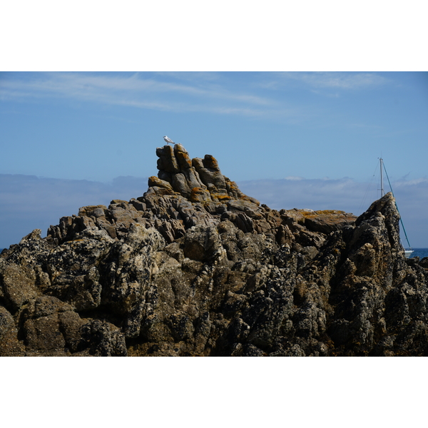 รูปถ่าย ฝรั่งเศส(France) เกาะเอดิก(Hoedic) 2016-08 24