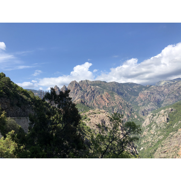 รูปถ่าย ฝรั่งเศส(France) คอร์สิคา(Corsica) ป่าไอโตเน(Aitone Forest) 2021-06 4