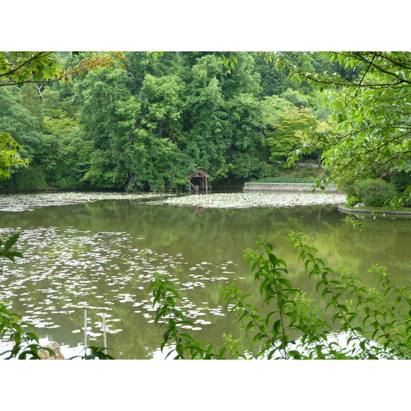 รูปถ่าย ญี่ปุ่น(Japan) เกียวโต(Kyoto) วัดเรียวอันจิ(Ryoanji Temple) 2010-06 66