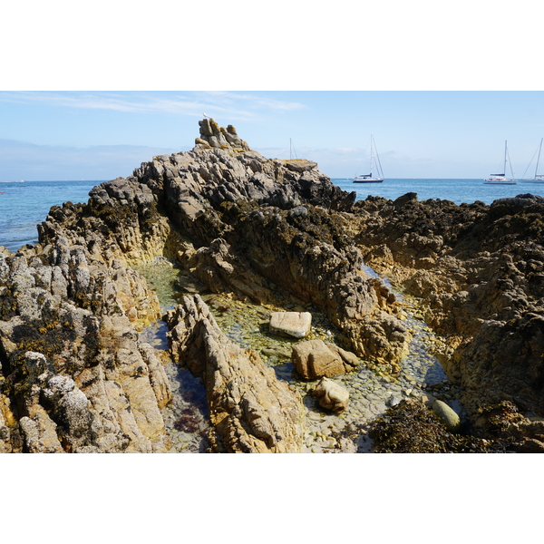 รูปถ่าย ฝรั่งเศส(France) เกาะเอดิก(Hoedic) 2016-08 16
