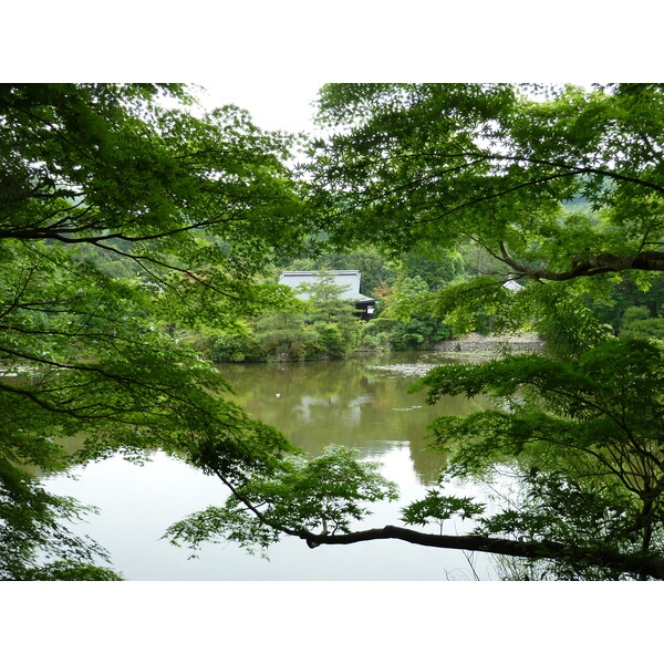 รูปถ่าย ญี่ปุ่น(Japan) เกียวโต(Kyoto) วัดเรียวอันจิ(Ryoanji Temple) 2010-06 57