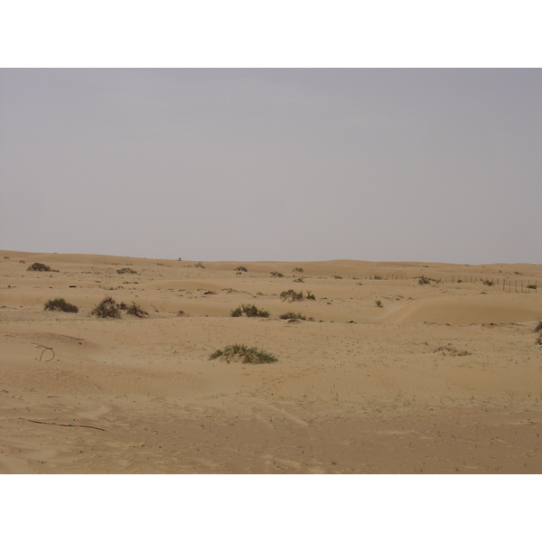 รูปถ่าย สหรัฐอาหรับเอมิเรตส์(United Arab Emirates) จากดูไบไปถนนอัลอิน(Dubai to Al Ain road) 2005-03 17