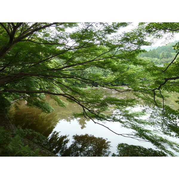 รูปถ่าย ญี่ปุ่น(Japan) เกียวโต(Kyoto) วัดเรียวอันจิ(Ryoanji Temple) 2010-06 33