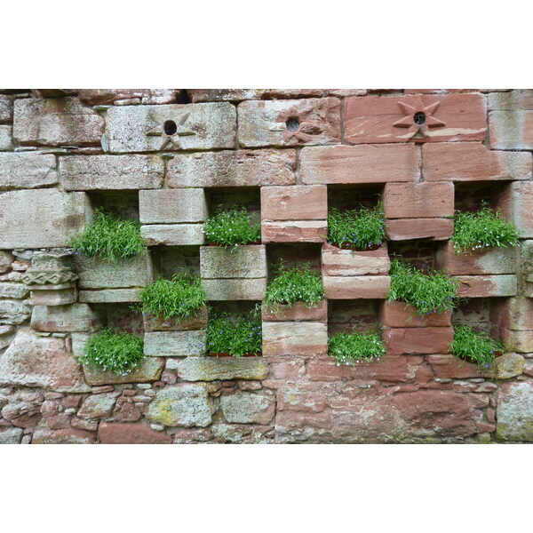 รูปถ่าย อังกฤษ(United Kingdom) สกอตแลนด์(Scotland) ปราสาทเอดเซล(Edzell Castle) 2011-07 14