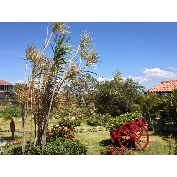รูปถ่าย ปานามา(Panama) โบเกเต(Boquete) 2015-03 5