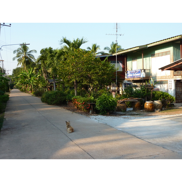 รูปถ่าย ไทย(Thailand) พิษณุโลก(Phitsanulok) จอมทอง(Chom Thong) 2009-12 9