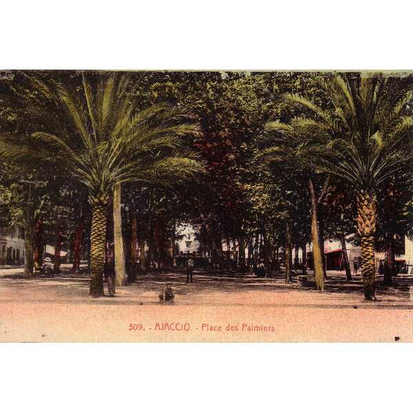 รูปถ่าย ฝรั่งเศส(France) คอร์สิคา(Corsica) โปสการ์ดเก่า(Old Postcards) 1900-01 306
