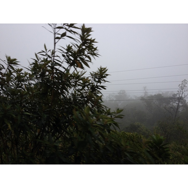 รูปถ่าย ปานามา(Panama) จากดาบิดไปโบกัสเดลโตโร(David to Bocas del toro) 2015-03 100