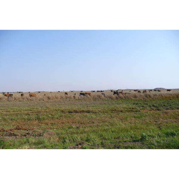 รูปถ่าย แอฟริกาใต้(South Africa) ถนนจากเนลสปรุตไปโจฮันเนสเบิร์ก(Nelspruit to Johannesburg road) 2008-09 107