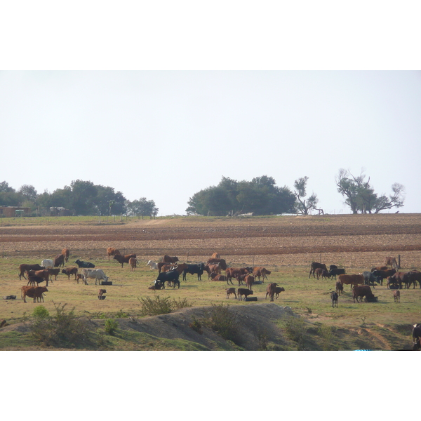 รูปถ่าย แอฟริกาใต้(South Africa) ถนนจากเนลสปรุตไปโจฮันเนสเบิร์ก(Nelspruit to Johannesburg road) 2008-09 72