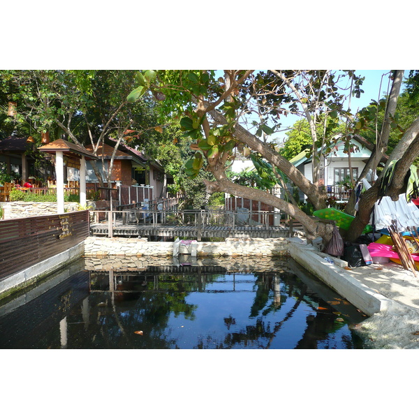 รูปถ่าย ไทย(Thailand) เกาะเสม็ด(Ko Samet) 2009-01 28