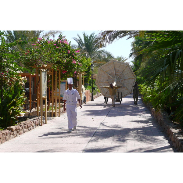 รูปถ่าย อียิปต์(Egypt) ชาร์มเอลชีค(Sharm el Sheikh) 2008-06 75