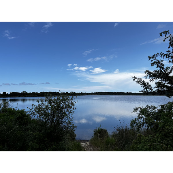 รูปถ่าย ฝรั่งเศส(France) คอร์สิคา(Corsica) บึงดียาน(Etang de Diane) 2023-06 4