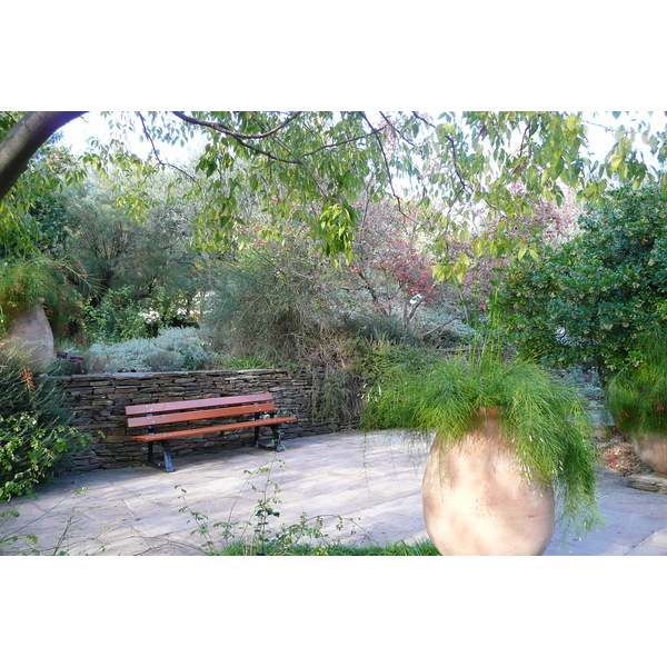 รูปถ่าย ฝรั่งเศส(France) นีส(Nice) สวนฟีนิกซ์(Phoenix Parc) 2007-10 88