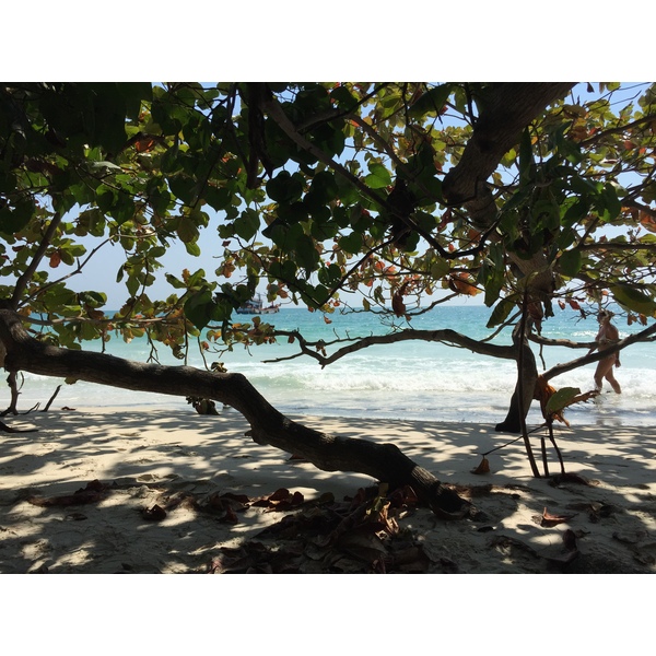 รูปถ่าย ไทย(Thailand) เกาะเสม็ด(Ko Samet) 2016-01 83