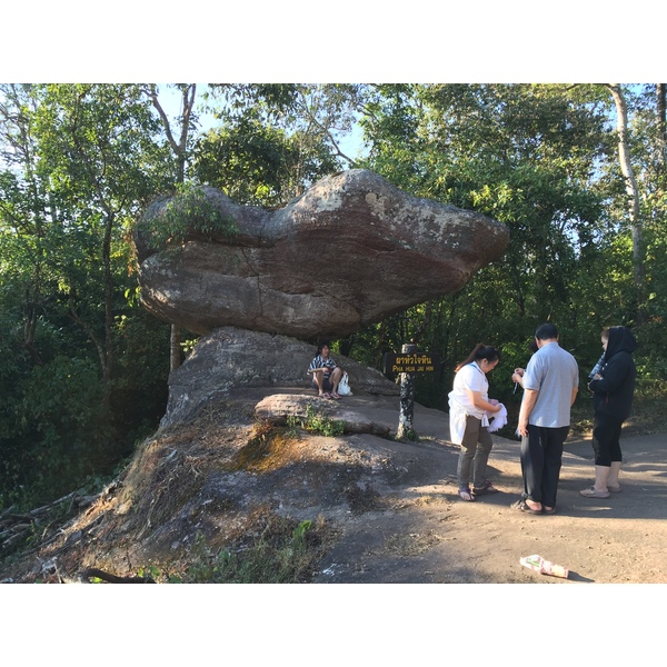 รูปถ่าย ไทย(Thailand) อุทยานแห่งชาติภูหินร่องกล้า(Phu Hin Rong Kla National Park) 2014-12 168