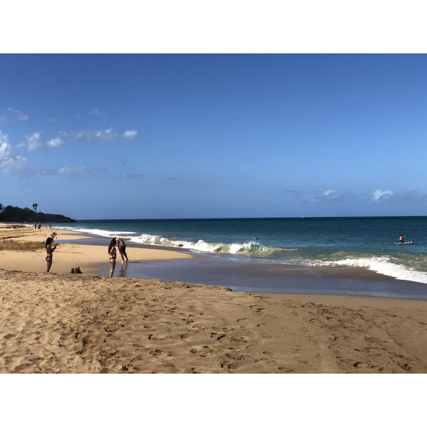 รูปถ่าย กวาเดอลูป(Guadeloupe) หาดลาแปร์ล(La Perle Beach) 2021-02 7