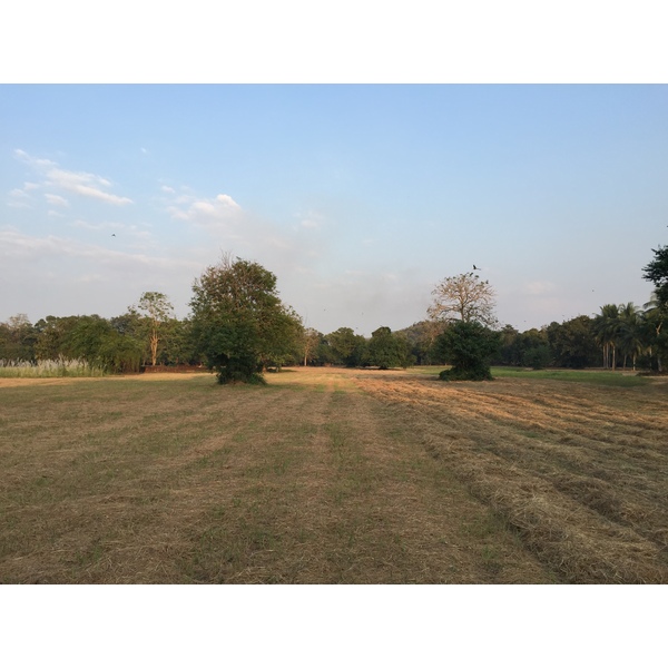 รูปถ่าย ไทย(Thailand) อุทยานประวัติศาสตร์ศรีสัชนาลัย(Si satchanalai historical park) 2014-12 70