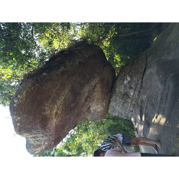 รูปถ่าย ไทย(Thailand) อุทยานแห่งชาติภูหินร่องกล้า(Phu Hin Rong Kla National Park) 2014-12 144