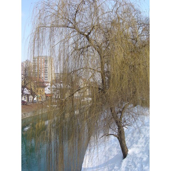 รูปถ่าย สโลวีเนีย(Slovenia) ลีอูบลีอานา(Ljubljana) 2005-03 26