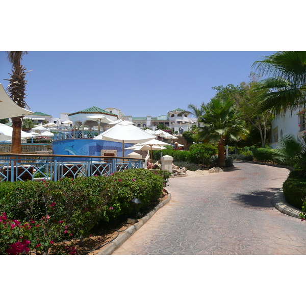 รูปถ่าย อียิปต์(Egypt) ชาร์มเอลชีค(Sharm el Sheikh) โรงแรมไฮแอต(Hyatt Hotel) 2008-06 64