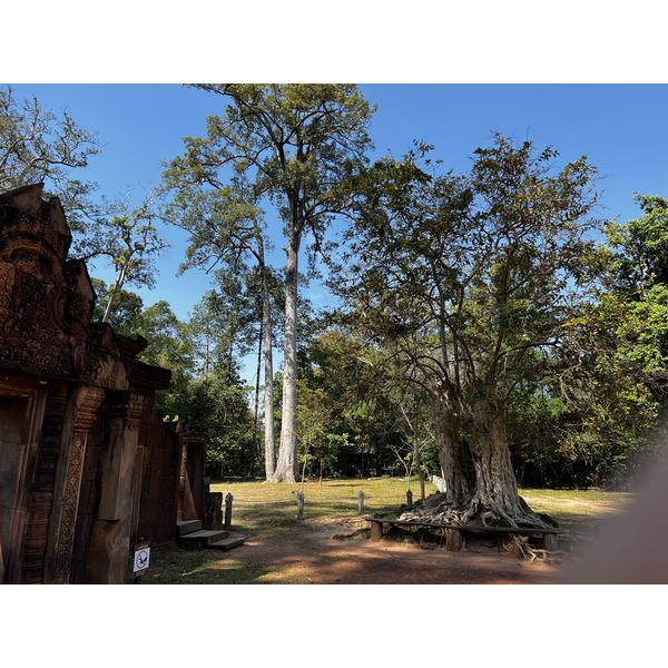 รูปถ่าย กัมพูชา(Cambodia) เสียมราฐ(Siem Reap) ปราสาทบันทายศรี(Banteay Srei) 2023-01 49