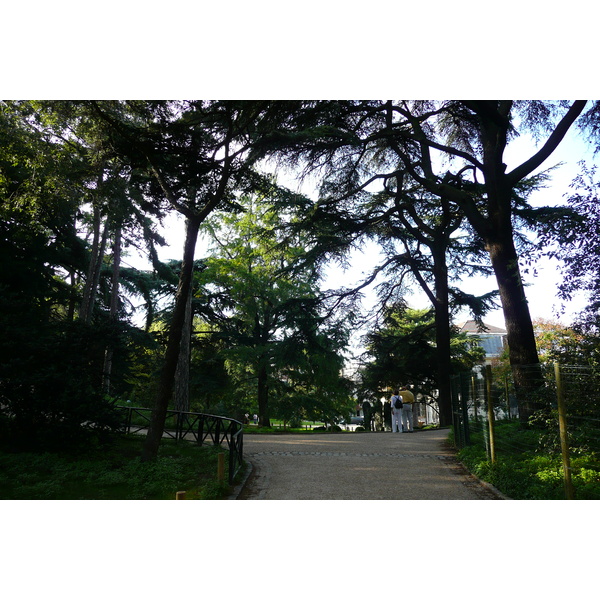 รูปถ่าย ฝรั่งเศส(France) ปารีส(Paris) สวนพันธ์ุพืช(Jardin des Plantes) 2007-08 148