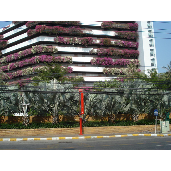 รูปถ่าย ไทย(Thailand) พัทยา(Pattaya) ถนนพัทยาสาย 2(Pattaya 2nd road) 2008-01 12