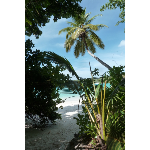 รูปถ่าย เซเชลส์(Seychelles) อ่าวอ็องส์ลาซิโอ(Anse Lazio) 2011-10 61