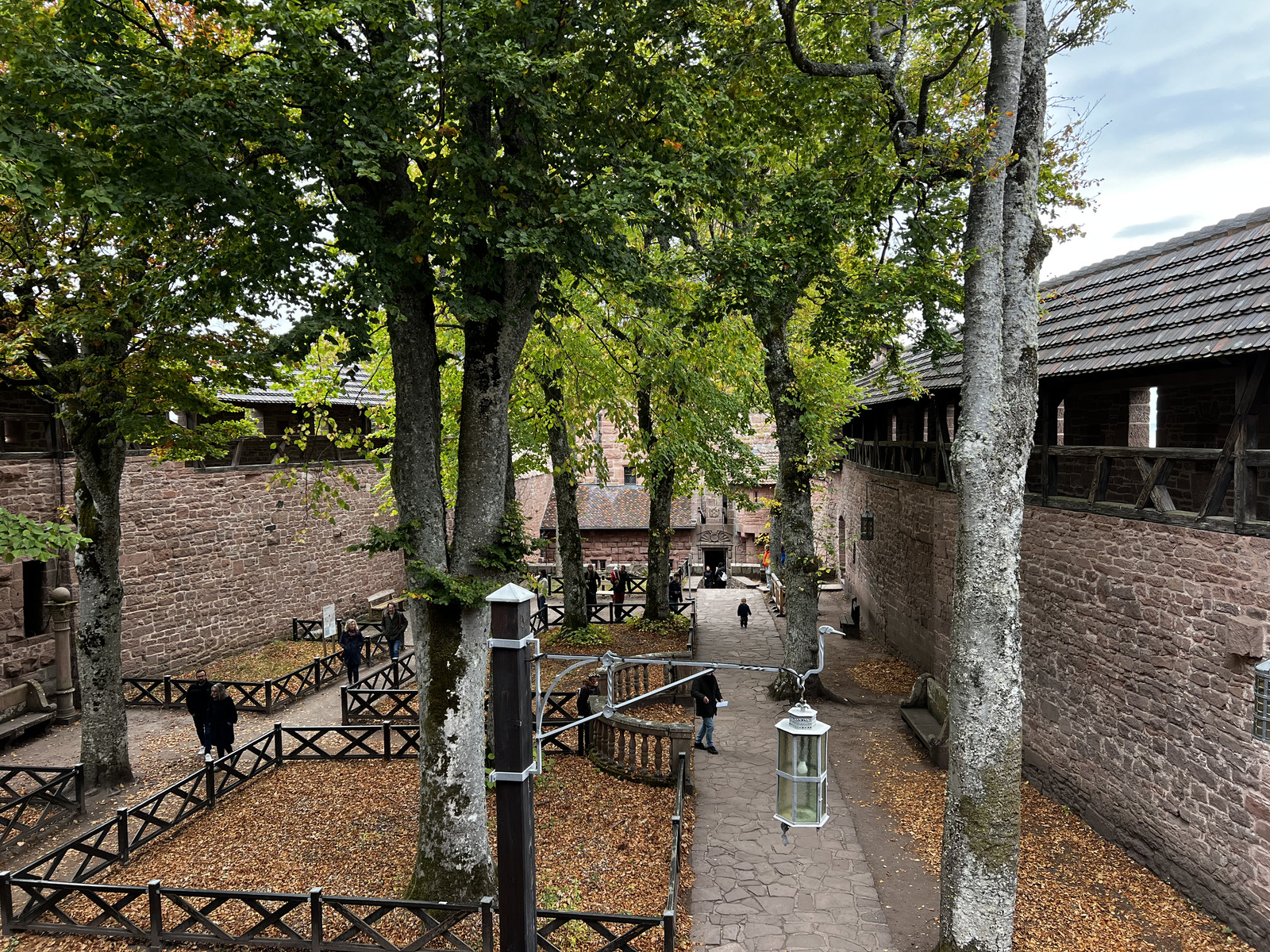 รูปถ่าย ฝรั่งเศส(France) ปราสาทโอ-เคอนิกส์บูร์ก(Koenigsbourg Castle) 2023-10 1