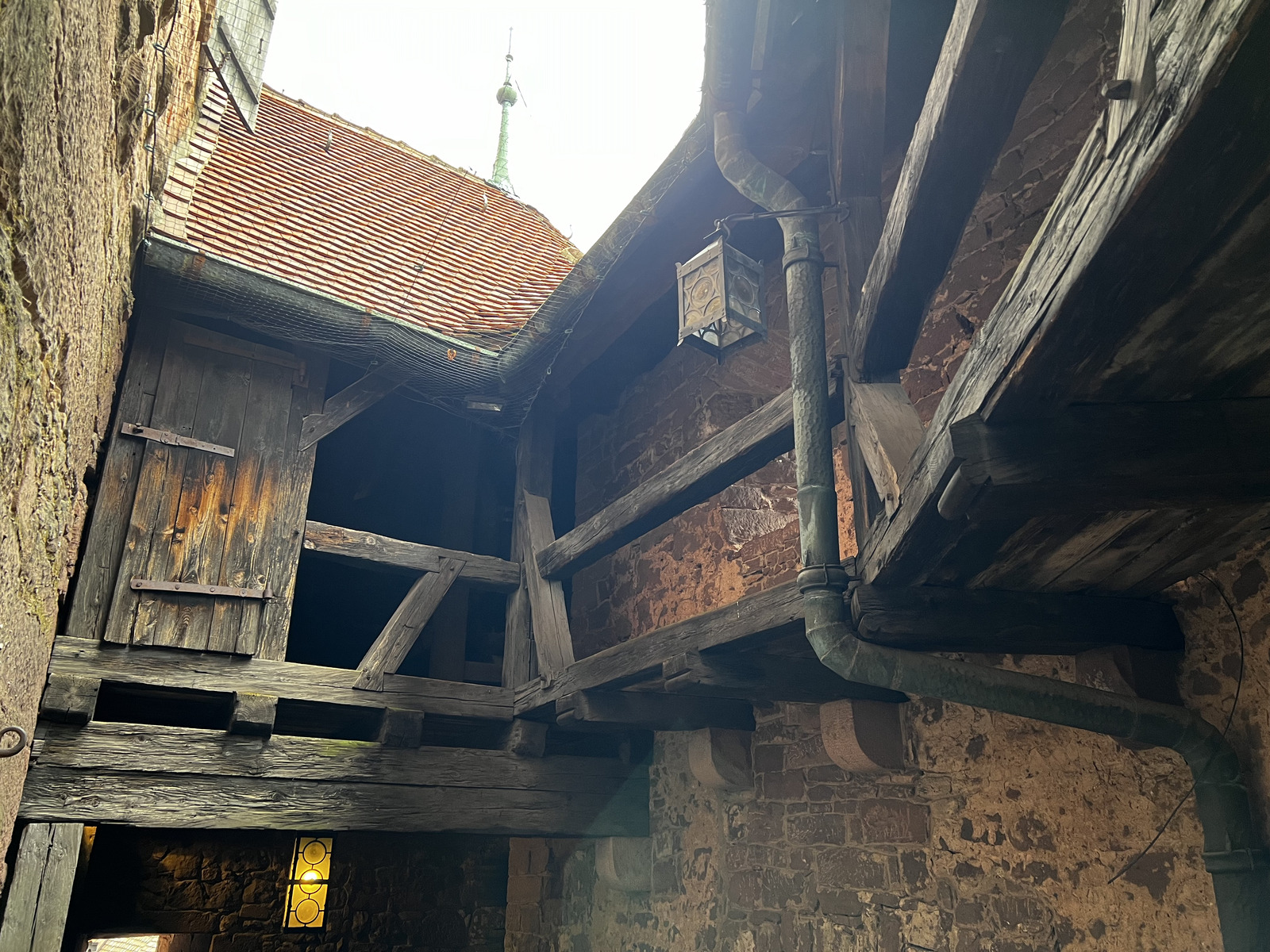 รูปถ่าย ฝรั่งเศส(France) ปราสาทโอ-เคอนิกส์บูร์ก(Koenigsbourg Castle) 2023-10 0