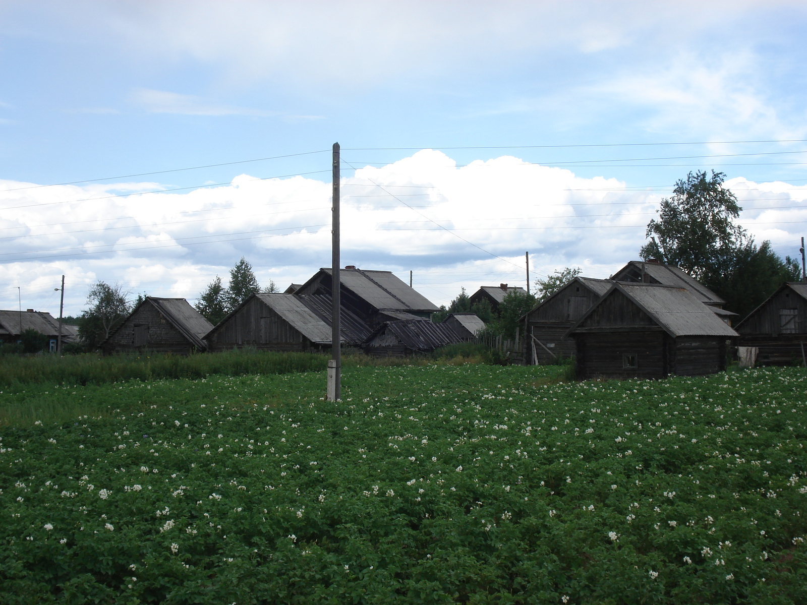 รูปถ่าย รัสเซีย(Russia) จากยาโรสลาฟล์ไปเซนต์ปีเตอร์สเบิร์ก(From Yaroslavl to St Petersburg) 2006-07 28