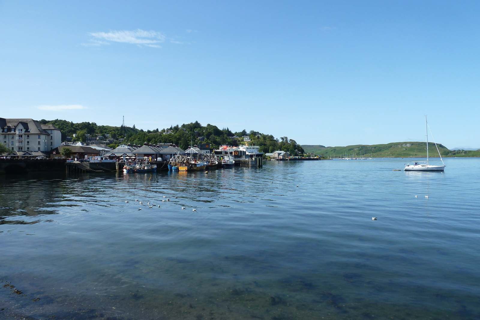 รูปถ่าย อังกฤษ(United Kingdom) สกอตแลนด์(Scotland) โอบัน(Oban) 2011-07 52
