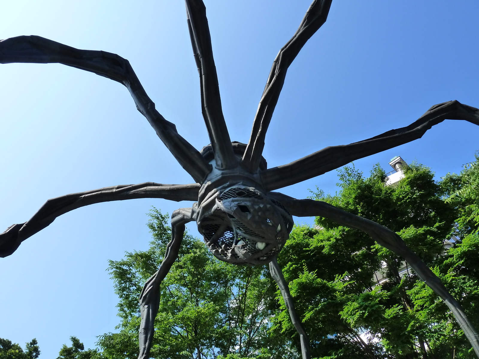 รูปถ่าย ญี่ปุ่น(Japan) โตเกียว(Tokyo) รปปงงิฮิลส์(Roppongi Hills) 2010-06 25