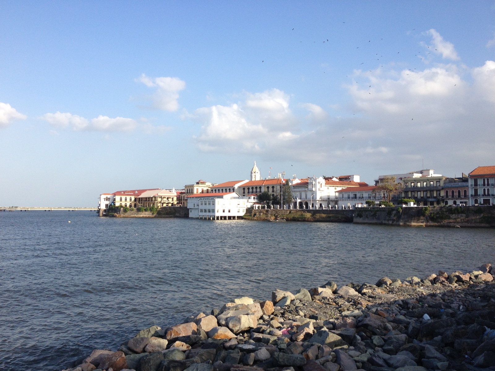 รูปถ่าย ปานามา(Panama) ปานามาซิตี(Panama City) 2015-03 170